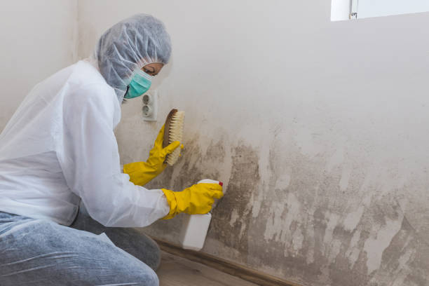 Best Mold Remediation for Specific Building Types in Moses Lake North, WA