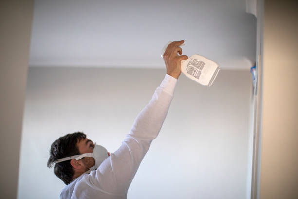Best Post-Flood Mold Remediation in Moses Lake North, WA
